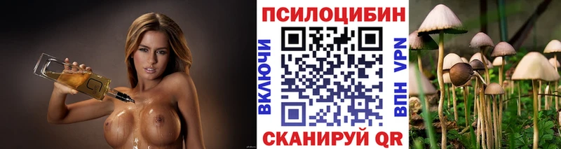 Галлюциногенные грибы GOLDEN TEACHER  Красный Сулин 