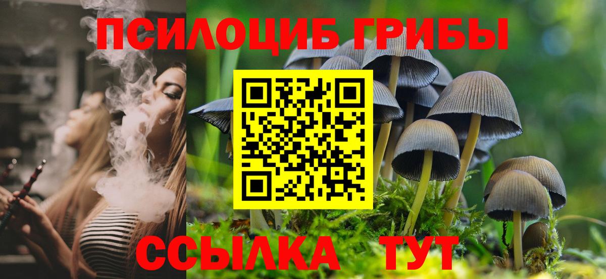 Галлюциногенные грибы Psilocybe Красный Сулин