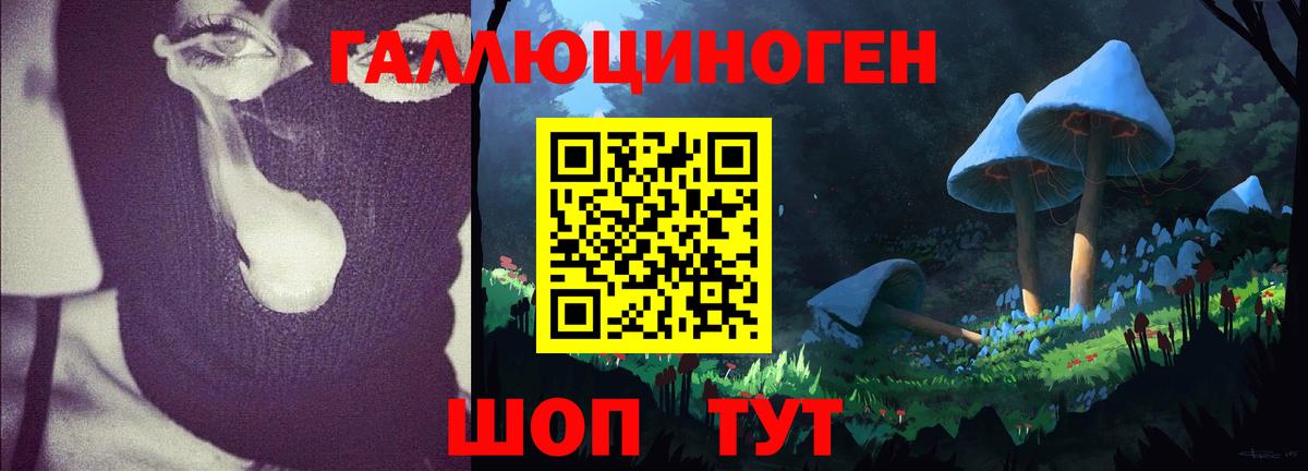 Галлюциногенные грибы прущие грибы  Вход с VPN  Красный Сулин  Псилоцибиновые грибы ЛСД 