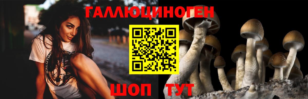 Галлюциногенные грибы ЛСД Красный Сулин